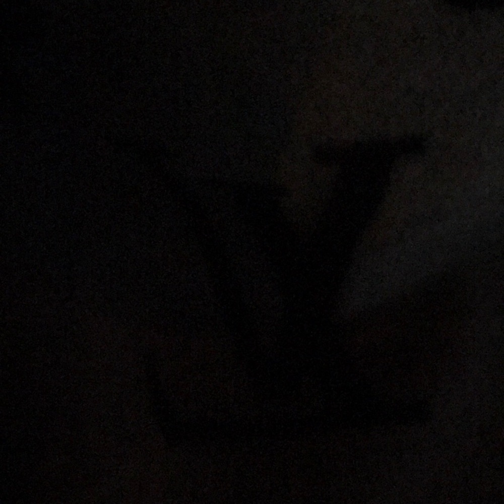 Meet your Posher, Charlie